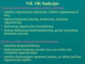 Įmonių ir organizacijų kultūra 16 puslapis