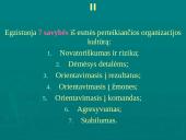 Įmonių ir organizacijų kultūra 3 puslapis