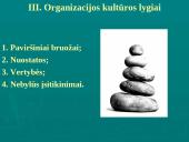 Įmonių ir organizacijų kultūra 4 puslapis