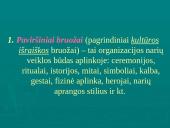 Įmonių ir organizacijų kultūra 5 puslapis