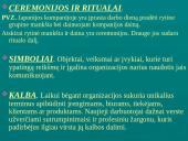 Įmonių ir organizacijų kultūra 7 puslapis