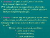 Įmonių ir organizacijų kultūra 8 puslapis