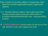 Įmonių ir organizacijų kultūra 9 puslapis