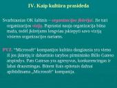 Įmonių ir organizacijų kultūra 10 puslapis