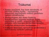 Pagrindiniai organizacinių valdymo struktūrų tipai 16 puslapis