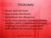 Pagrindiniai organizacinių valdymo struktūrų tipai 20 puslapis