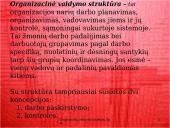 Pagrindiniai organizacinių valdymo struktūrų tipai 3 puslapis