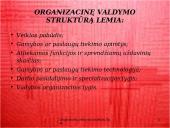 Pagrindiniai organizacinių valdymo struktūrų tipai 4 puslapis