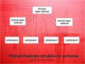 Pagrindiniai organizacinių valdymo struktūrų tipai 6 puslapis