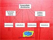 Pagrindiniai organizacinių valdymo struktūrų tipai 9 puslapis