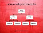 Pagrindiniai organizacinių valdymo struktūrų tipai 10 puslapis