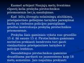 Pirotechnika 2 puslapis