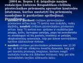 Pirotechnika 11 puslapis