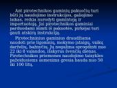 Pirotechnika 3 puslapis