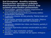 Pirotechnika 4 puslapis
