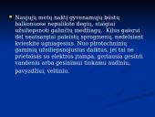 Pirotechnika 6 puslapis