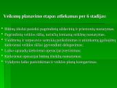 Planavimo sandara 16 puslapis