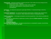 Planavimo sandara 19 puslapis