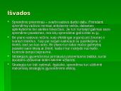 Planavimo sandara 20 puslapis