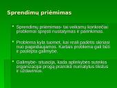 Planavimo sandara 3 puslapis