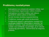 Planavimo sandara 4 puslapis