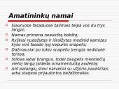 Renesansas: Florencija 12 puslapis