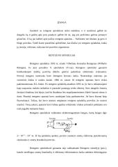 Rentgeno spinduliai, jų istorija, veikimas, taikymas bei poveikis organizmui 2 puslapis