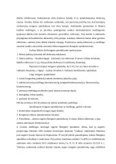 Rentgeno spinduliai, jų istorija, veikimas, taikymas bei poveikis organizmui 3 puslapis