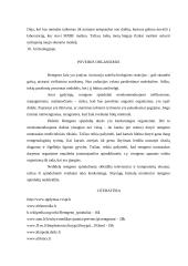 Rentgeno spinduliai, jų istorija, veikimas, taikymas bei poveikis organizmui 7 puslapis