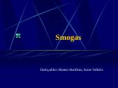 Smogas, smogo sukėlėjai