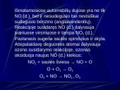 Smogas, smogo sukėlėjai 8 puslapis
