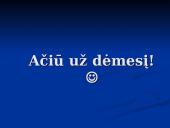 TCP/IP protokolai ir jų taikymas 17 puslapis