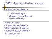 XML programavimo kalba 6 puslapis
