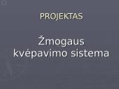 Žmogaus kvėpavimo sistema