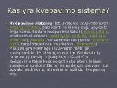 Žmogaus kvėpavimo sistema 2 puslapis