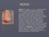 Žmogaus kvėpavimo sistema 4 puslapis