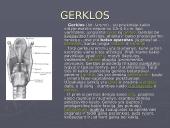 Žmogaus kvėpavimo sistema 6 puslapis