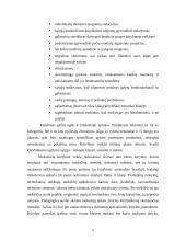 Pedagogo įtaka moksleivių kūrybiškumui 5 puslapis