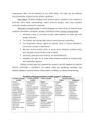 Socialinio pedagogo kompetencijos bendrojo lavinimo mokyklose 2 puslapis