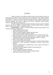 Socialinio pedagogo veiklos ypatumai mokykloje 3 puslapis