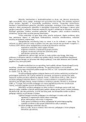 Socialinio pedagogo veiklos ypatumai mokykloje 4 puslapis