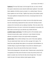 The function and importance of the human body’s lymphatic system 2 puslapis