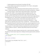 .NET vykdymo ir kūrimo terpė 13 puslapis