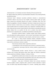 "Prarastosios kartos" reikšmė lietuvių literatūroje 3 puslapis