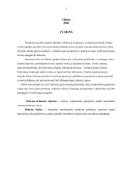 Abortai, nepilnamečių gimdymai, palikti neprižiūrėti, smurtą patiriantys vaikai 2 puslapis