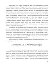 Absolventų bedarbystė 6 puslapis