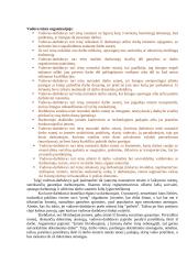 Administravimo etika 12 puslapis