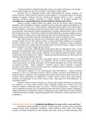 Administravimo etika 13 puslapis