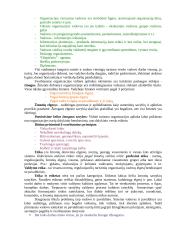 Administravimo etika 3 puslapis