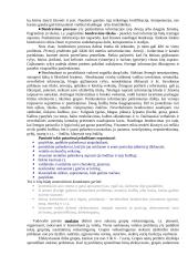 Administravimo etika 5 puslapis